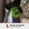 Haunted Hill Farm HHWITCH-39HLS - 3